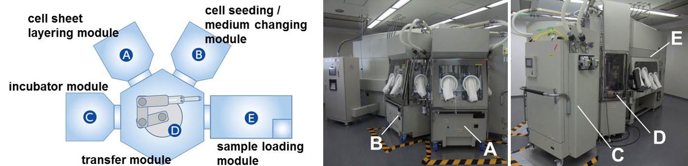 layering system